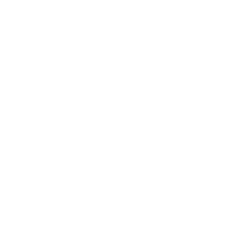 ZIYMAN SHOP